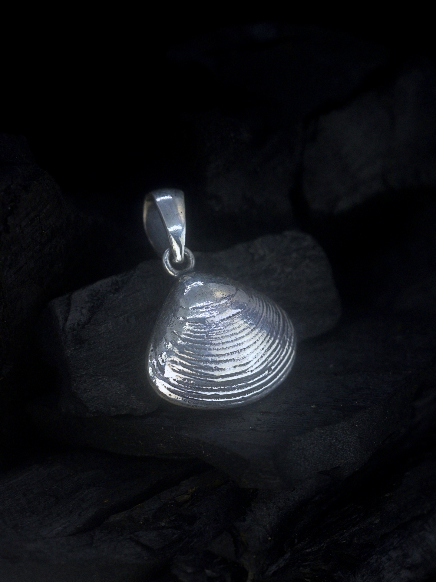 Spisula - Seashell Silver Pendant