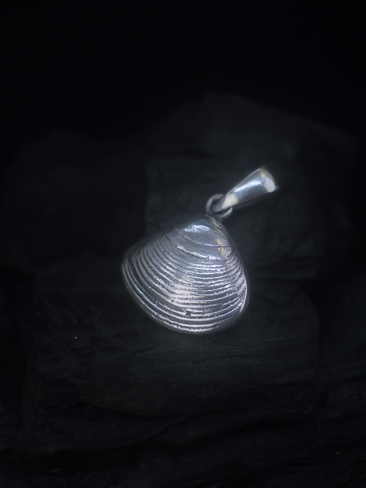 Spisula - Seashell Silver Pendant